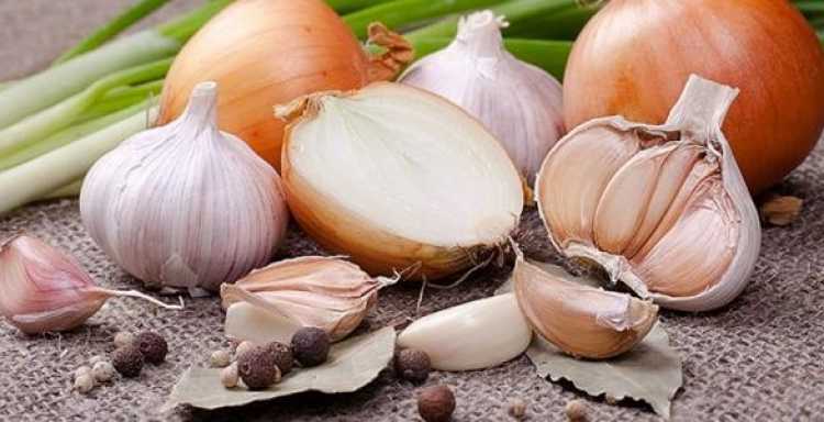 البصل والثوم