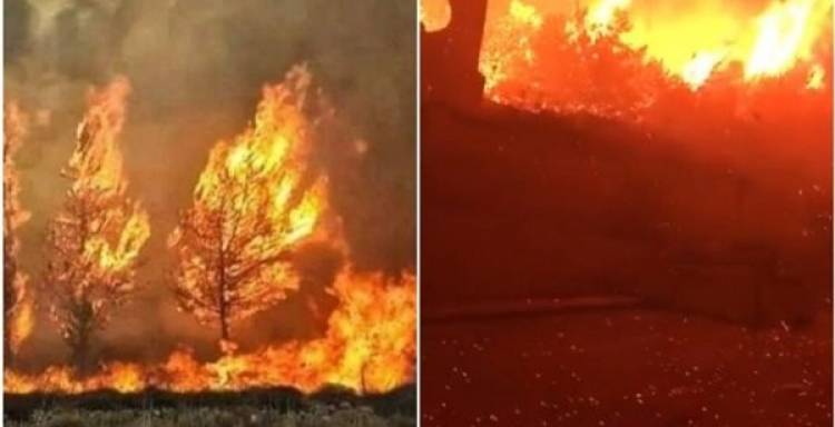 حرائق لبنان